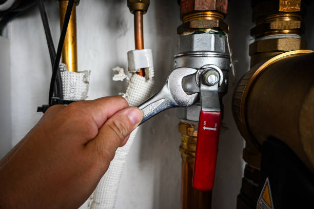 Best Plumbing Repair Near Me  in Wanamassa, NJ